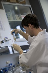 Etudiant en salle de bactriologie